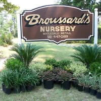 Broussard's Nursery logo